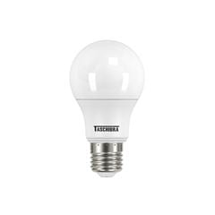 LÂMPADA TASCHIBRA LEDBULB PARA BATERIA 12V 09W LUZ FRIA 6500K TKL E27 750 LÚMENS BIVOLT